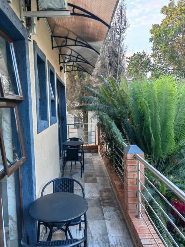 photo-2025-05-01-17-20-07