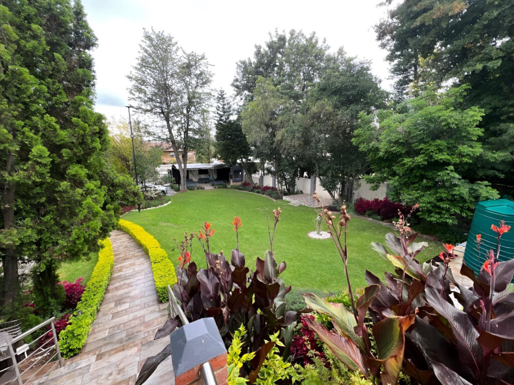 Pokecut_1747404766439